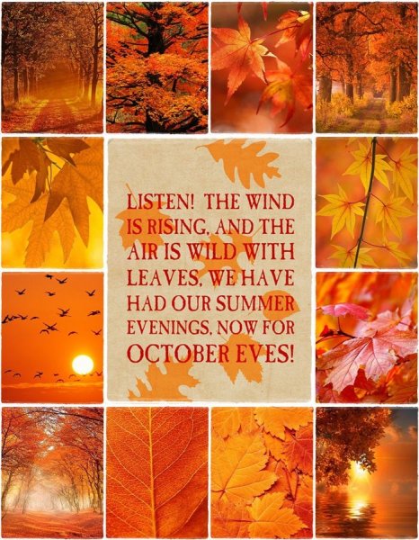 1-october-quotes-autumn-fall.jpg