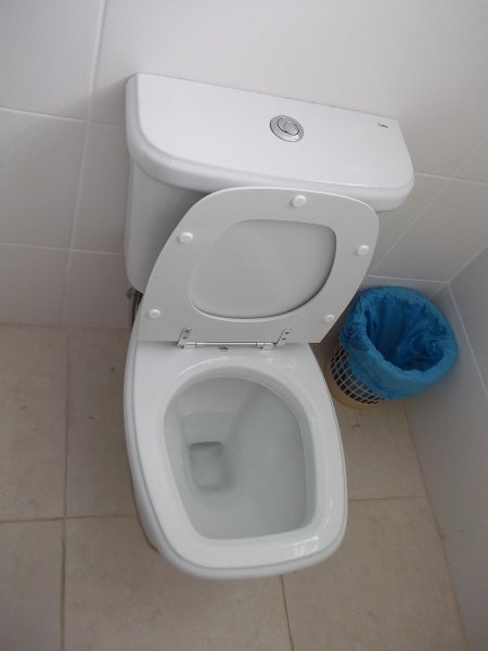 1200px-Toilet_double_flush_01.jpg