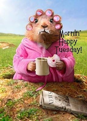 125267-Morning-Happy-Tuesday.jpg