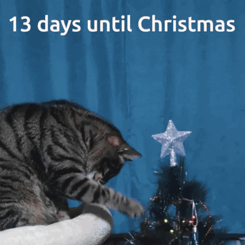 13 days until Christmas.png