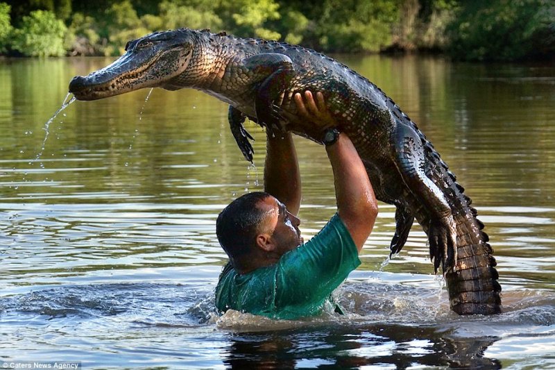 1413890158915_wps_1_CATERS_DIRTY_DANCING_CROC.jpg