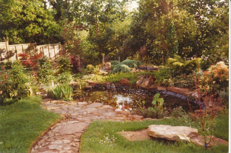 1990 Pond project_0001.jpg