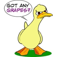 1GOTANYGRAPES.jpg