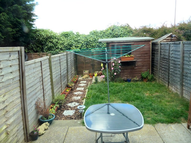 1st view of garden.jpg