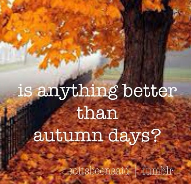 3398759-seasons-fall-autumn-change-quotes.jpg