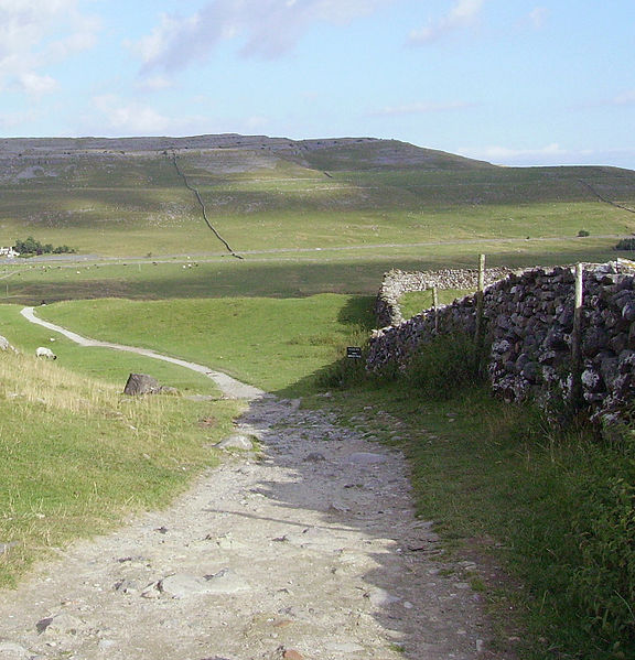 576px-Dry_stone_wall_20.JPG