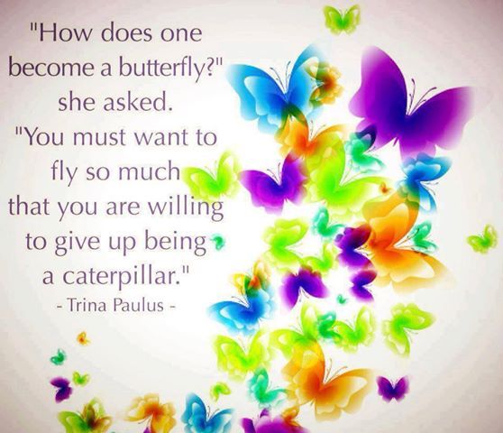 8692d016e88261e1686c0b001a825d90--butterfly-quotes-butterfly-kisses.jpg