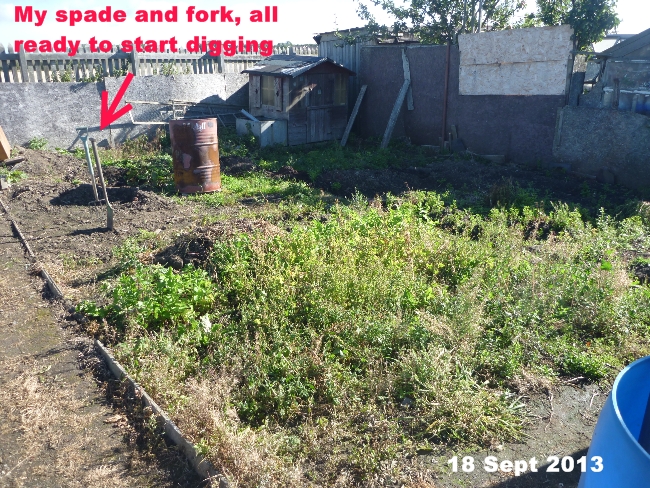 allotment6.jpg