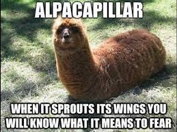 Alpacapillar.jpg