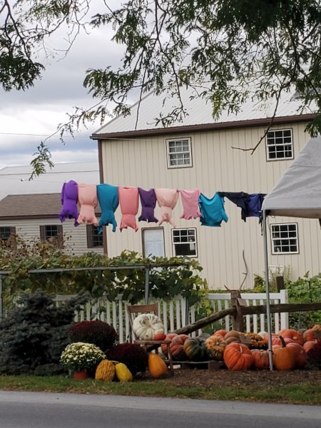 AmishClothes Line.jpg