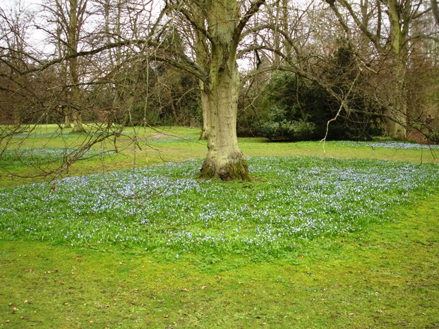 Angelsey Abbey 009 - Copy.JPG