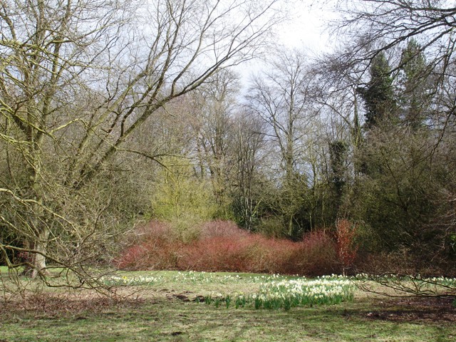 Angelsey Abbey 018 - Copy.JPG