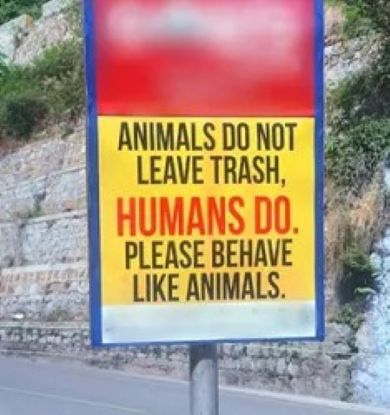 Animals.jpg