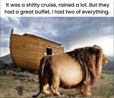 Ark.jpg