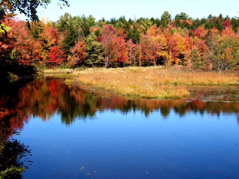 Autumn in New York.jpg