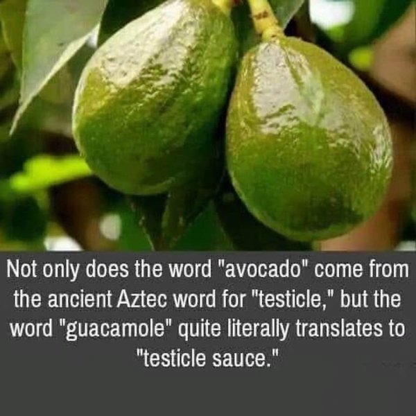 Avocado.jpg