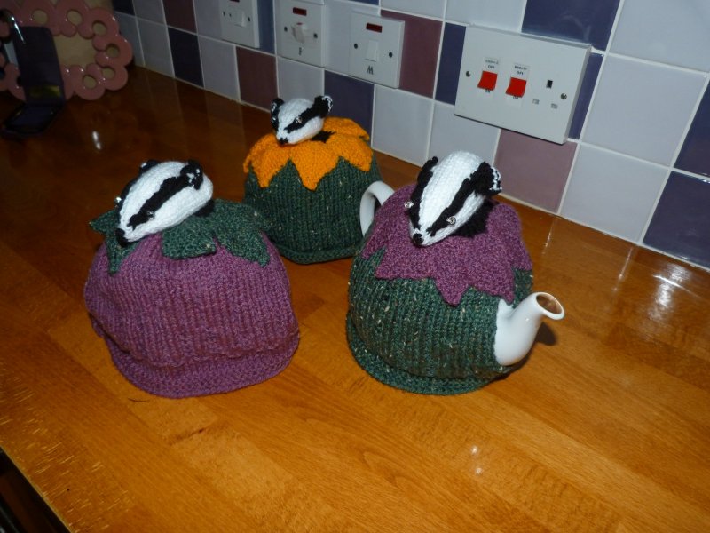 Badger set of three 002.JPG