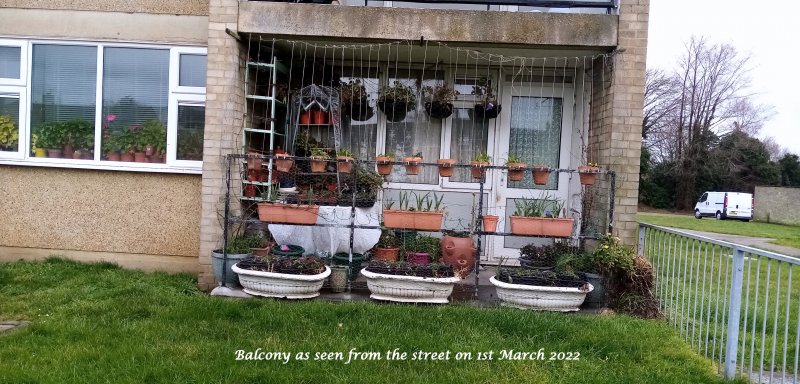 Balcony as seen from the street on 1st March 2022.jpg