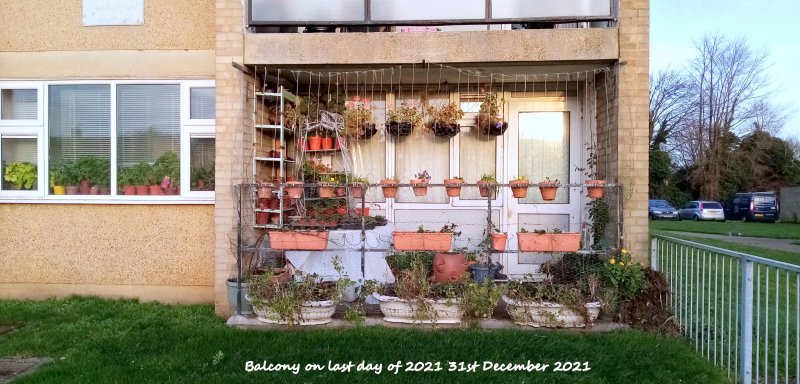 Balcony on last day of 2021 31st December 2021.jpg