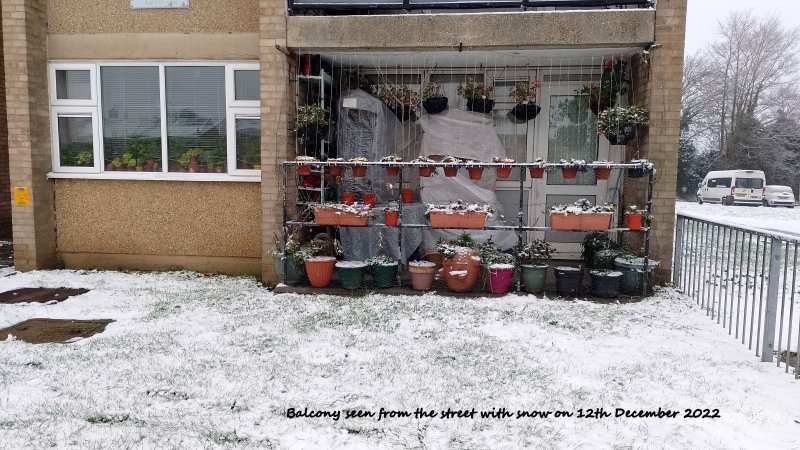 Balcony seen from the street with snow 12th December 2022.jpg