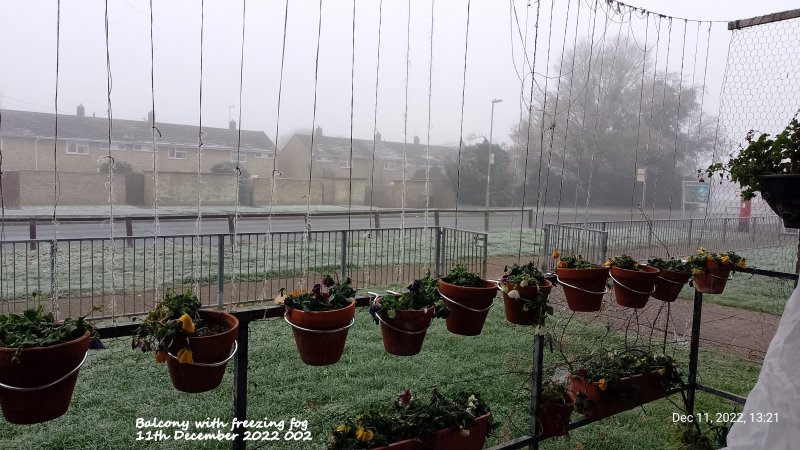 Balcony with freezing fog 11th December 2022 002.jpg