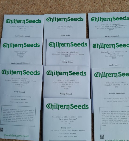 Bargain basement seeds.jpg