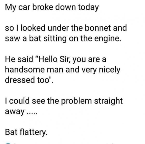 bats.jpg