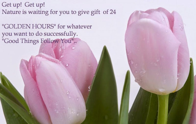 Beautiful-Good-Morning-Wallpaper-With-Wishes-Quotes15-1024x647.jpg