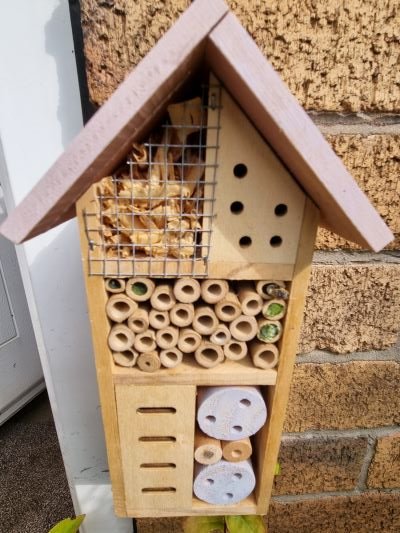 Bee hotel.jpg