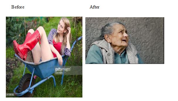 beforeafterdigging.JPG