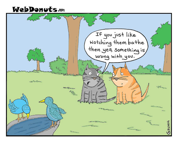 Bird Bath Cartoon.jpg