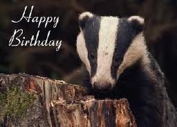 birthday badger.jpg