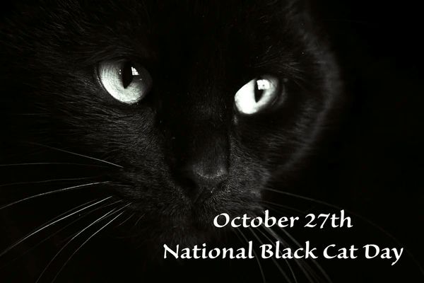 Black Cat Day.jpg