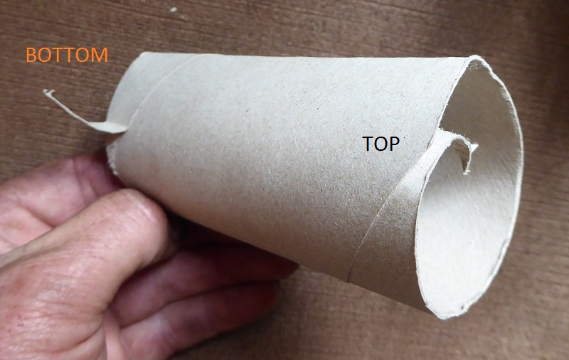 bog roll way up.jpg