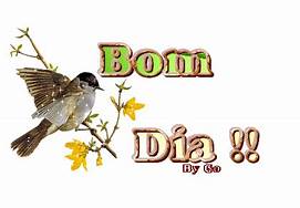 Bom Dia Bird.jpeg