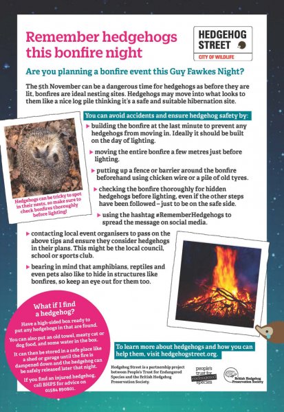 Bonfire-night-hedgehog-safety_1024x1024.jpg