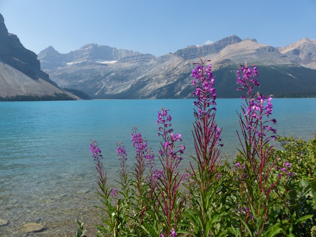 Bow Lake F3 - Copy.JPG