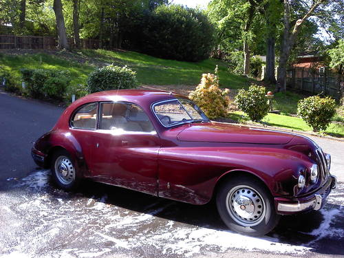 Bristol 401.jpg