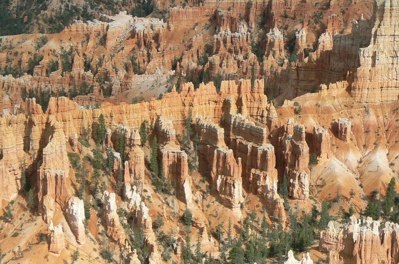 Bryce Canyon (66).jpg