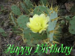 cactus happy b'day.jpg