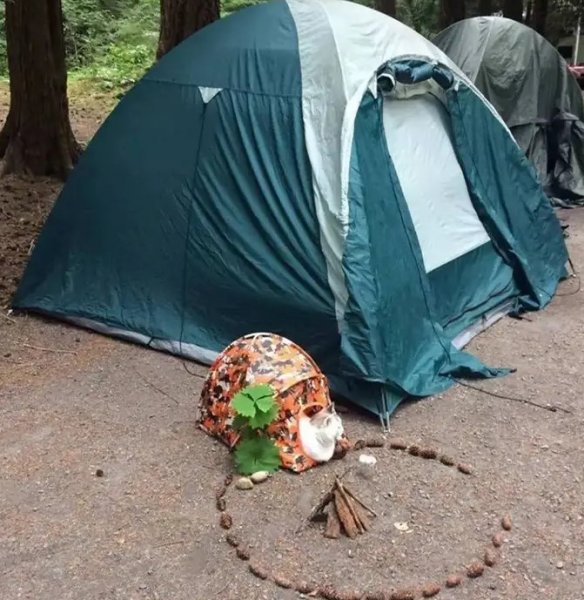 camping.jpg