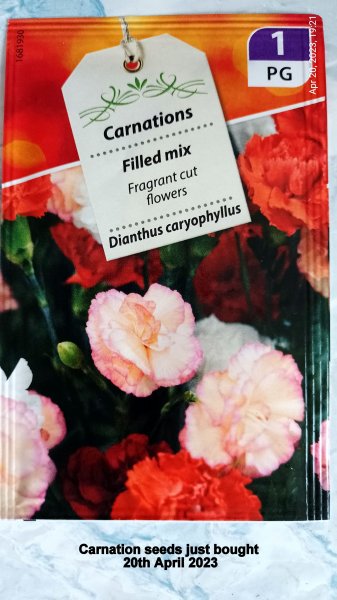 Carnation seeds just bought 20th April 2023.jpg