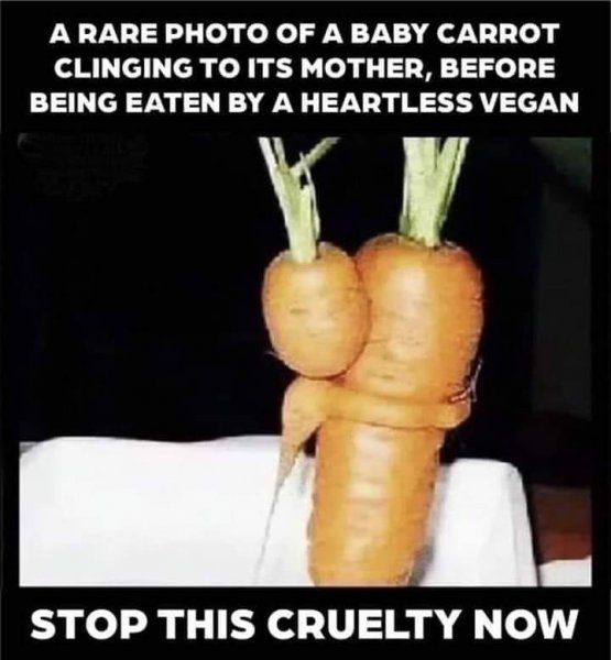 Carrot.jpg