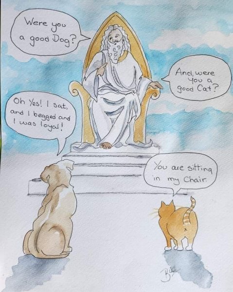 Cat and Dog and God.jpg