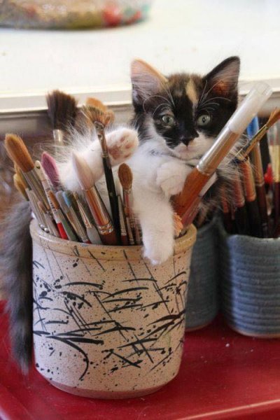 Cat Artist.jpg