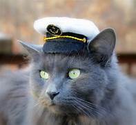 Cat Captain.jpeg