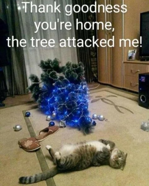 Cat Christmas Tree.jpg