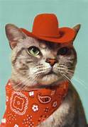 Cat Cowboy.jpeg