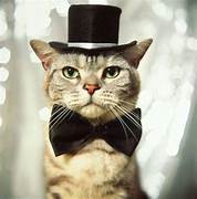 Cat in Tophat Tie.jpeg