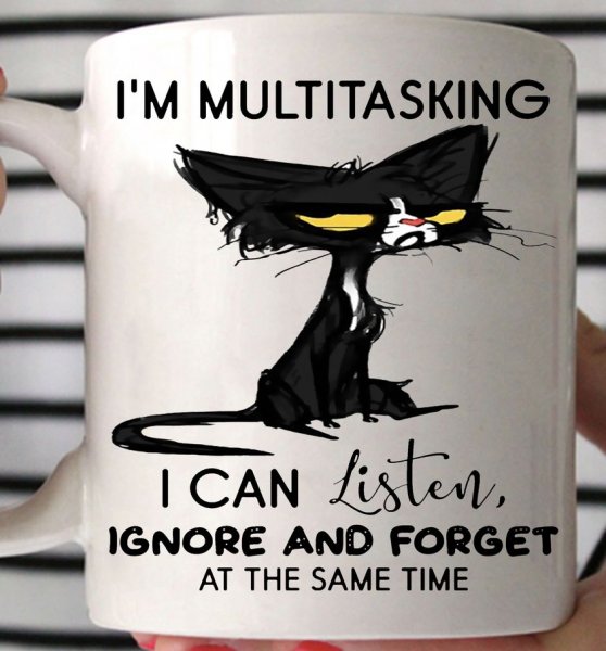 Cat Multitask.jpg